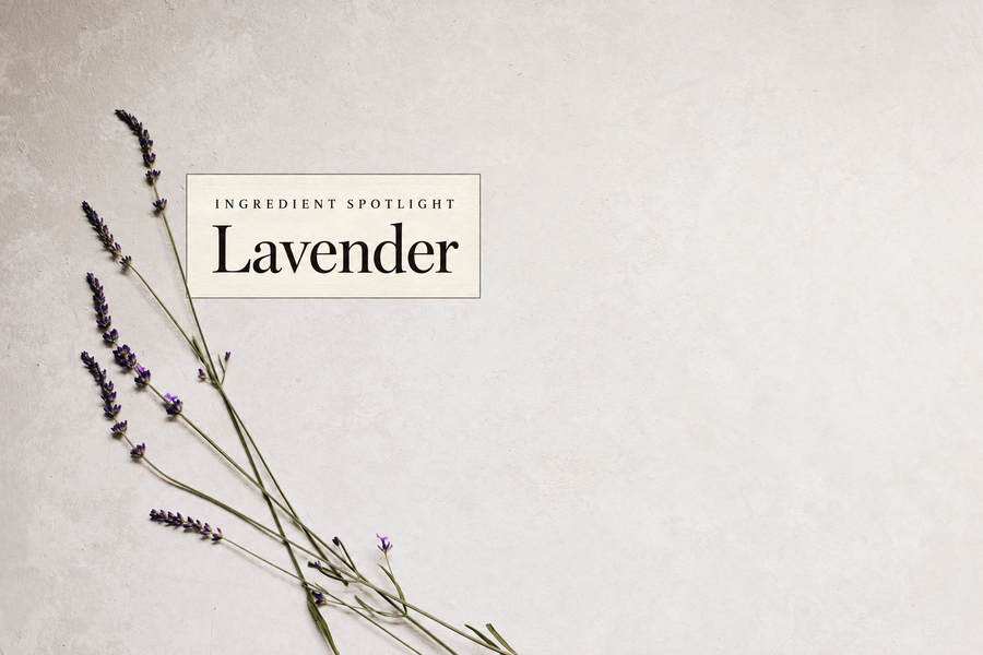 Real photograph of lavender with a Ingredient Spotlight label.