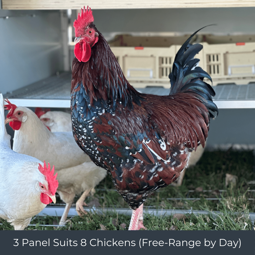Mobile Chicken Coop / Chicken Tractor