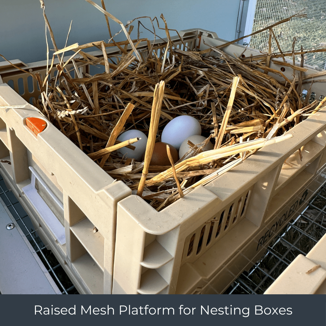 Mobile Chicken Coop / Chicken Tractor