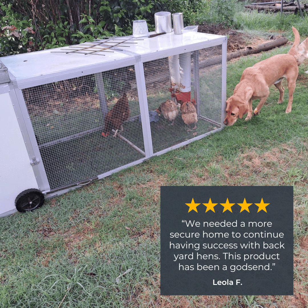 Mobile Chicken Coop / Chicken Tractor