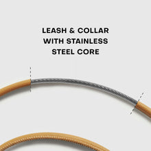 DOGLOC Lockable Dog Lead & Collar Set — product image 9