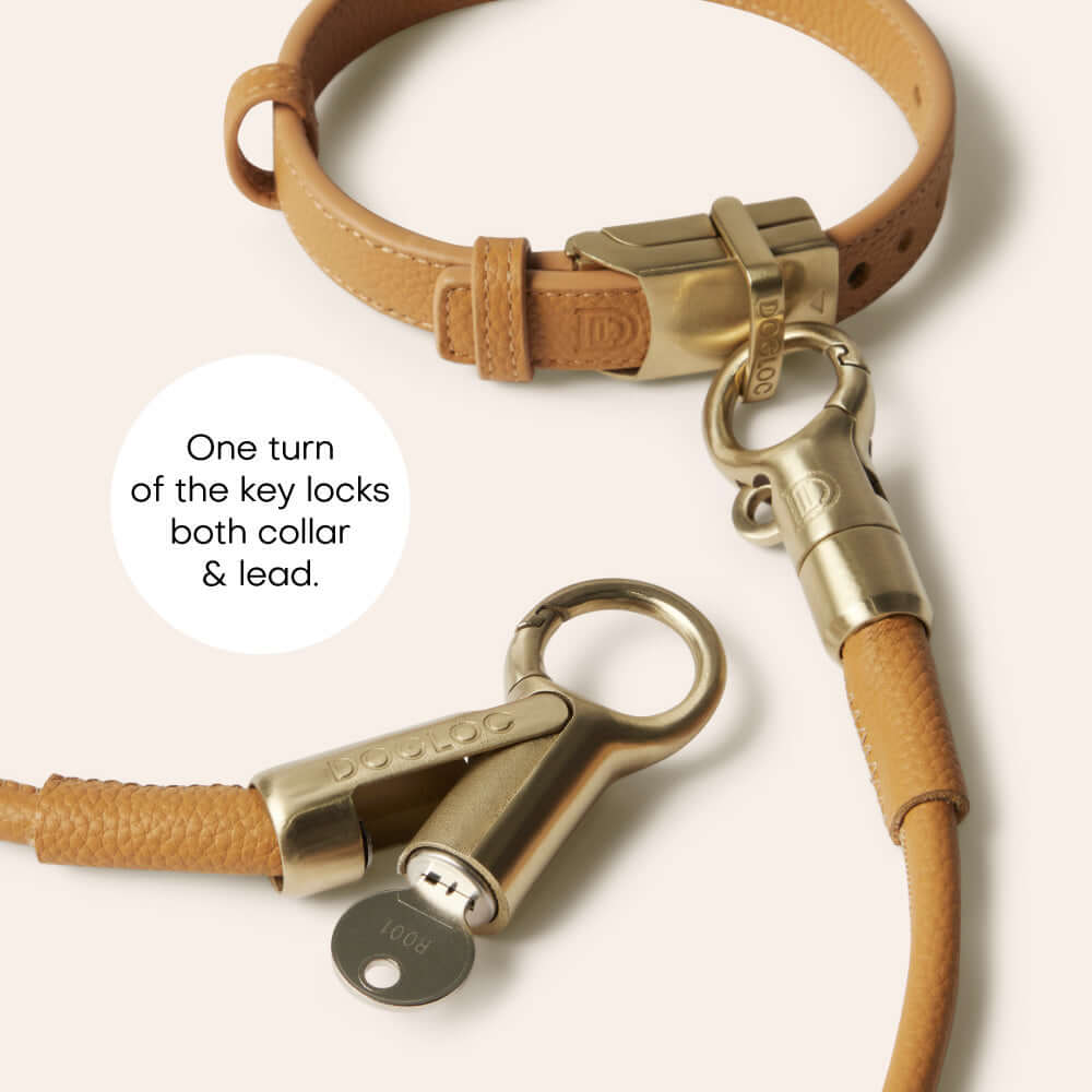 DOGLOC Lockable Dog Lead & Collar Set — product image 2