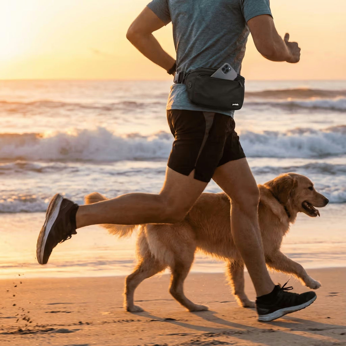 At sunset on an Australian beach, a jogger in black shorts and a gray shirt runs with a golden retriever, wearing Pawbella’s Dog Walking Bum Bag holding a smartphone. Waves roll in the background.