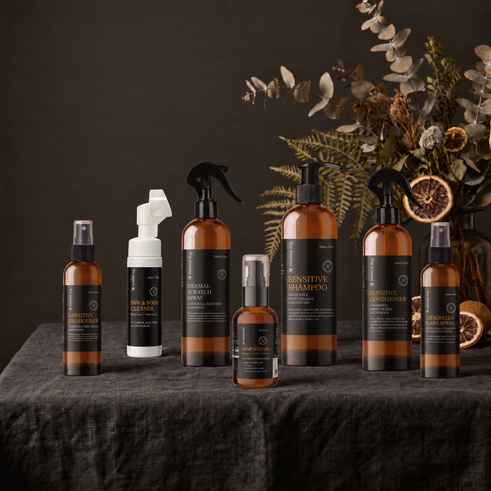 Complete Wellbeing Bundle with its included products in an alternate arrangement on the original premium studio background.