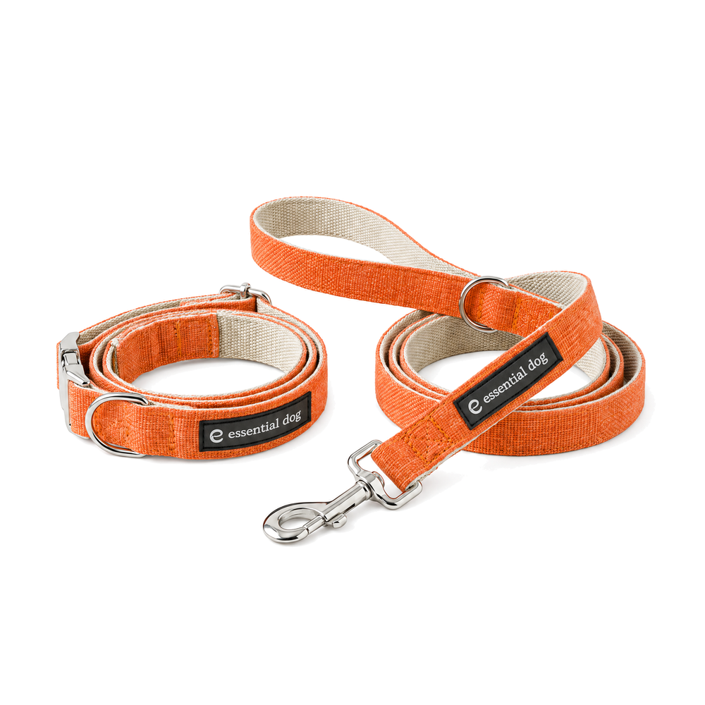 Hemp and Cotton Everyday Walk Bundle — Orange Burst with its matching collar and lead on a clean white background.