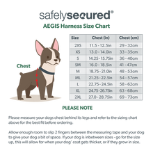 Anti-Theft Lockable Dog Harness