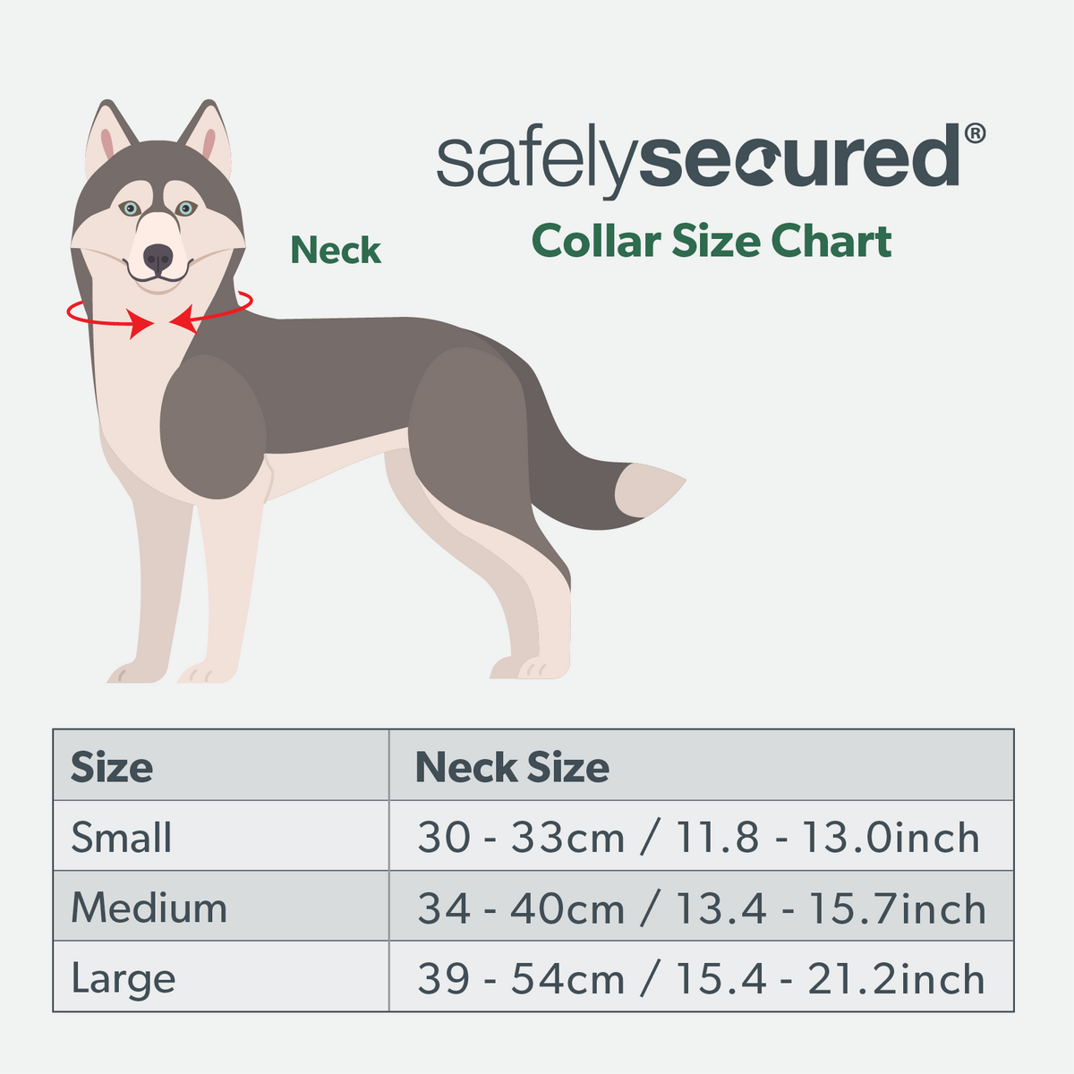 Safely Secured Anti-Theft Lockable Dog Collar