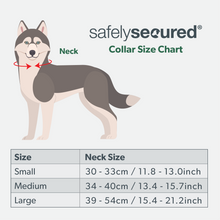 Safely Secured Anti-Theft Lockable Dog Collar