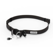 Safely Secured Anti-Theft Dog Snatching Belt